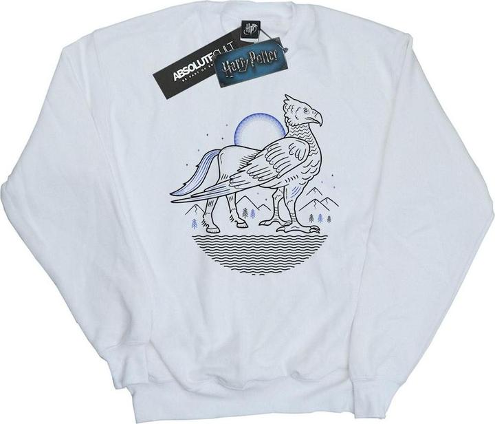 Image du produit - Sweat BUCKBEAK LINE ART - Fille (152, 158)