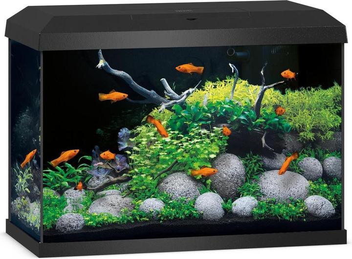 Actual product image Juwel Aquarium Primo 70 (70 l)