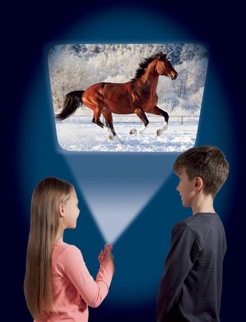 Actual product image Brainstorm Horse Torch and Projector