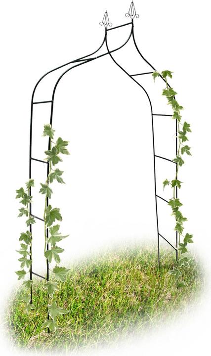 Actual product image Relaxdays Rose arch (38 cm, 140 cm)