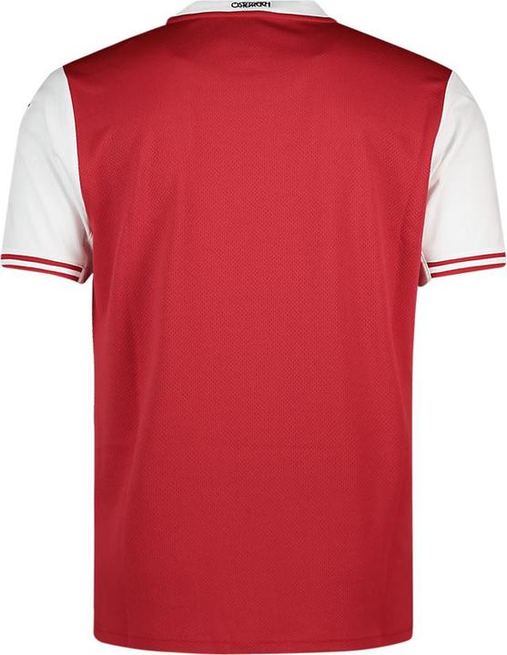Produktbild Puma Österreich Home Replica Herren Fussballtrikot (S)
