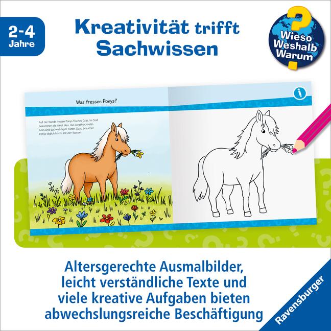 Produktbild Ravensburger Wieso? Weshalb? Warum? junior AKTIV: Auf dem Ponyhof (Deutsch, Marie Zippel, 2024)