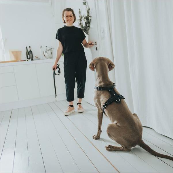 Actual product image Hunter Tableware Aalborg (2, Dog, General)