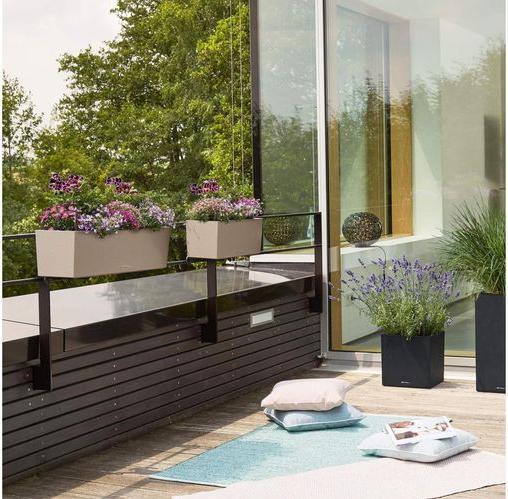 Immagine prodotto Lechuza Balconera (19 cm)