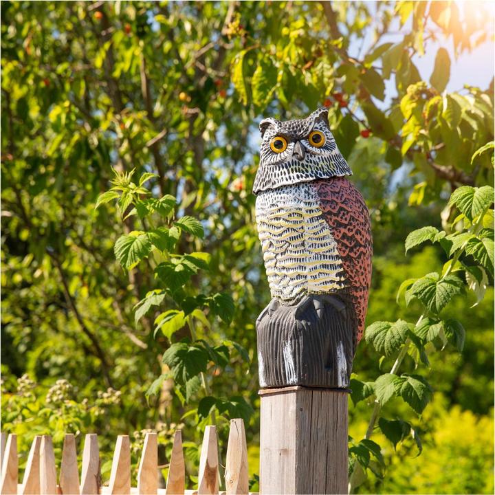 Actual product image Windhager Bird defence owl