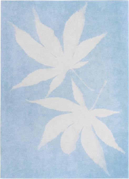 Actual product image Sun printing paper PhänoMINT