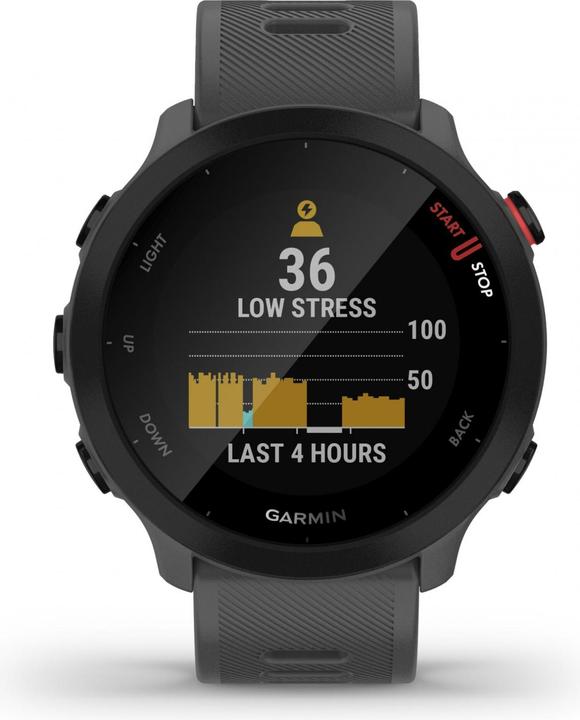 Immagine prodotto Garmin Forerunner 55 (42 mm)