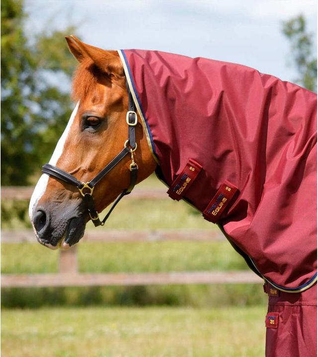 Actual product image Premier Equine Buster 0 g (168 cm)