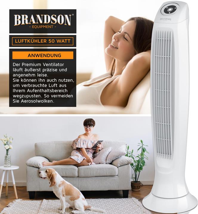 Actual product image Brandson Tower fan (48 dB)