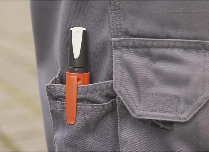 Actual product image Pica Visor (Red, 10 mm, 1 x)