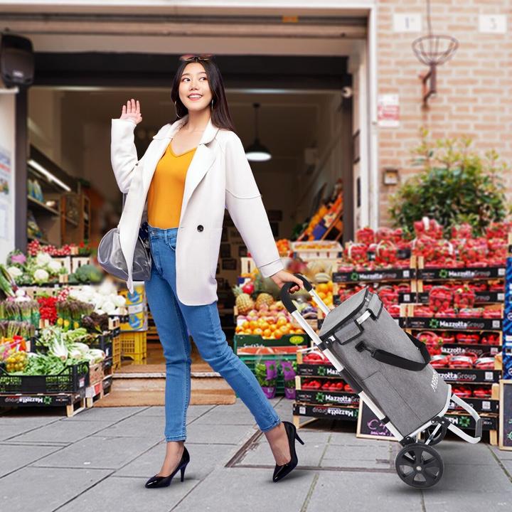Actual product image Arebos Shopping trolley