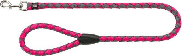 fuchsie, Graphit