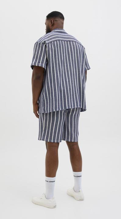 Produktbild Jack & Jones Jpstjaiden Coba Stripe Jog Short Sn Pls (42)