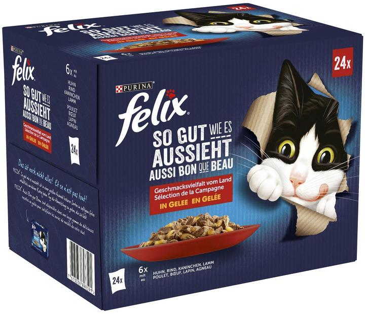 Felix Agail meat (Adult, 24 pcs., 2040 g)
