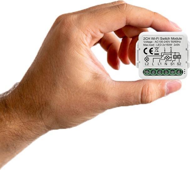 Image du produit Netplus Module Smart Relay Switch 2 canaux WLAN