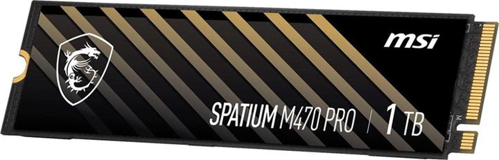Actual product image MSI Spatium M470 Pro (1000 GB, M.2 2280)