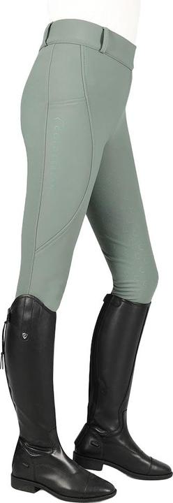 Actual product image Coldstream Womens/Ladies Horse Riding Tights (40 D)