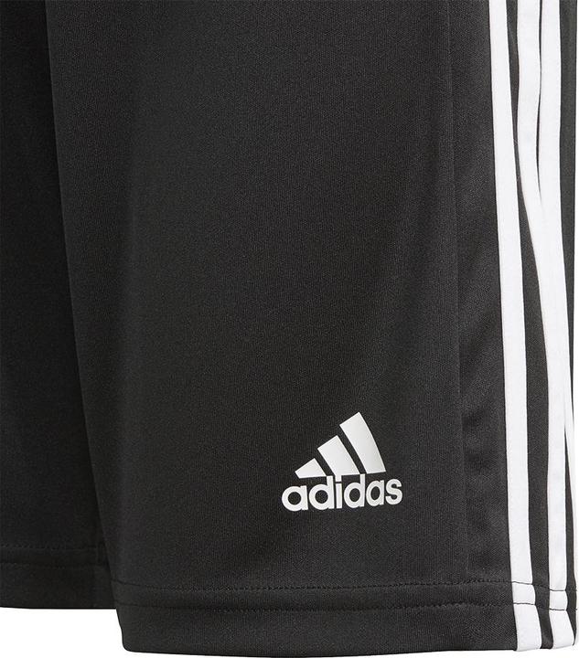Actual product image adidas Squadra 21 Short Children (128)
