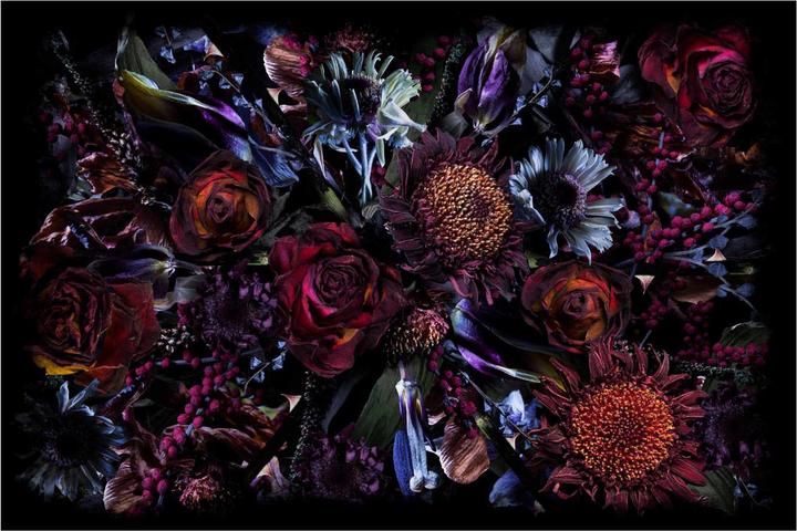 Actual product image Moooi Fool's Paradise carpet (200 x 300 cm)