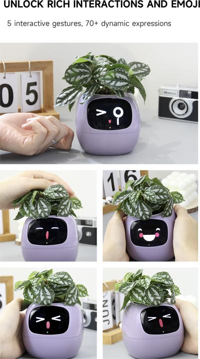 Actual product image Plantsio Ivy Smart Planter