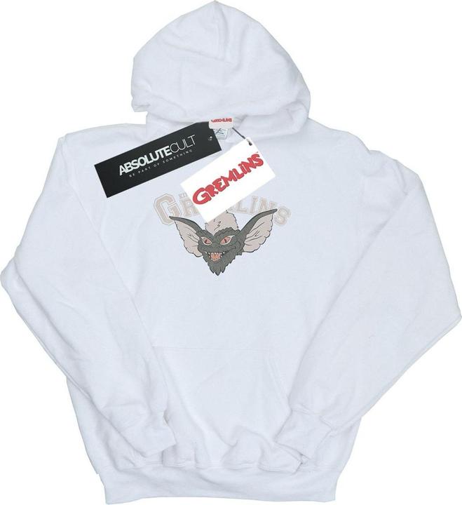 Image du produit Universal Textiles - Sweat à capuche KINGSTON FALLS SPORT - Homme (L)