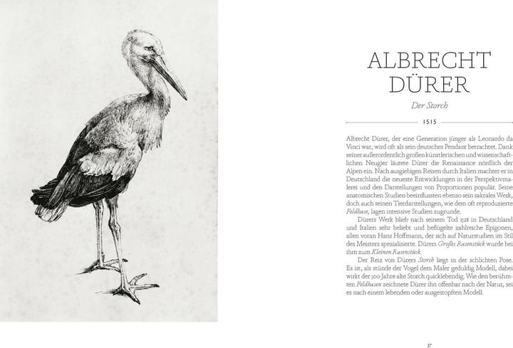 Produktbild Vögel in der Kunst (Deutsch, Kendra Wilson, 2020)