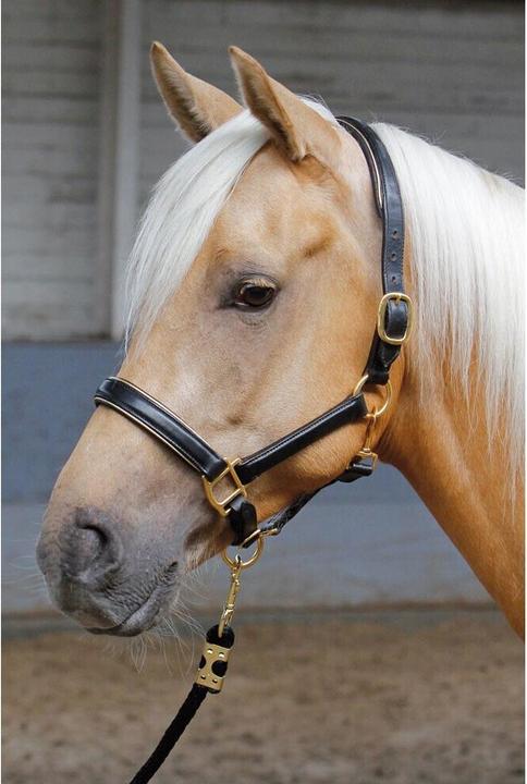 Produktbild Harry's Horse Halfter aus Leder