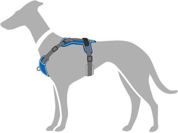 Image du produit Hunter Vaisselle Divo (XS, Chien, Général)