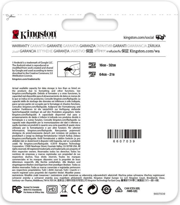 Immagine prodotto Kingston Tela Go Plus (256 GB, microSDXC, U3, UHS-I)