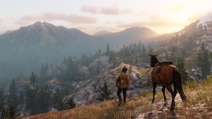 Image du produit Rockstar Red Dead Redemption 2 (PS4, EN)