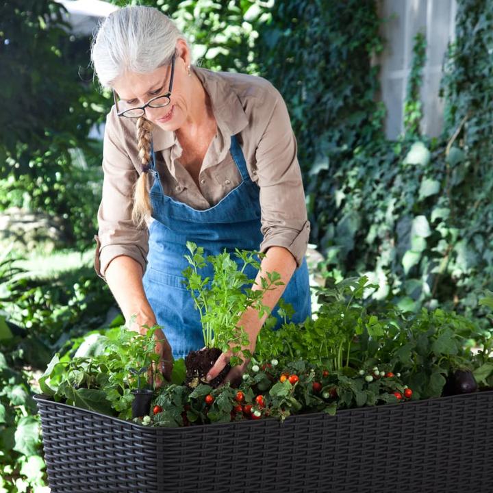 Immagine prodotto Keter Easy Growing