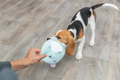 Produktbild Trixie Pluche Beer Mintgroen Voor Puppy (Plüschspielzeug Hund)