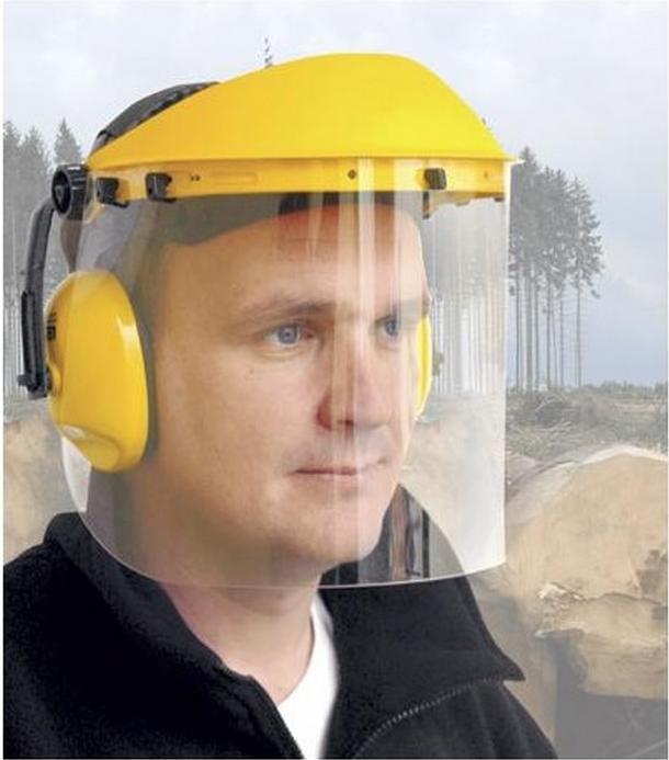 Image du produit Portwest Défenseurs d'oreilles et visière (1 x)