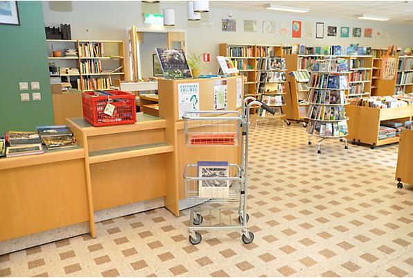 Actual product image Kongamek Small transport vehicle (35 kg)
