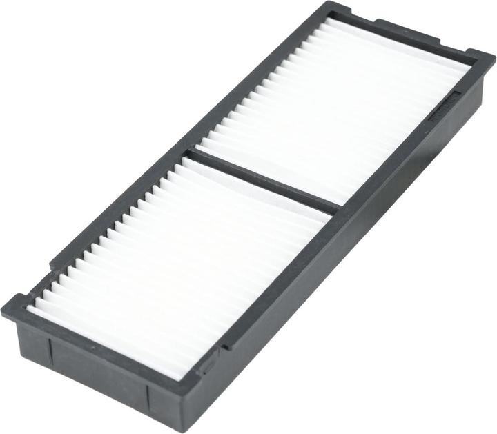 Actual product image Epson Elpaf38 (Filter)