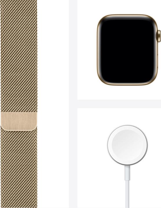 Produktbild Apple Watch Series 6 (44 mm, 4G)