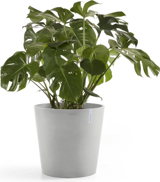 Actual product image Ecopots Amsterdam + Water reservoir (50 cm)