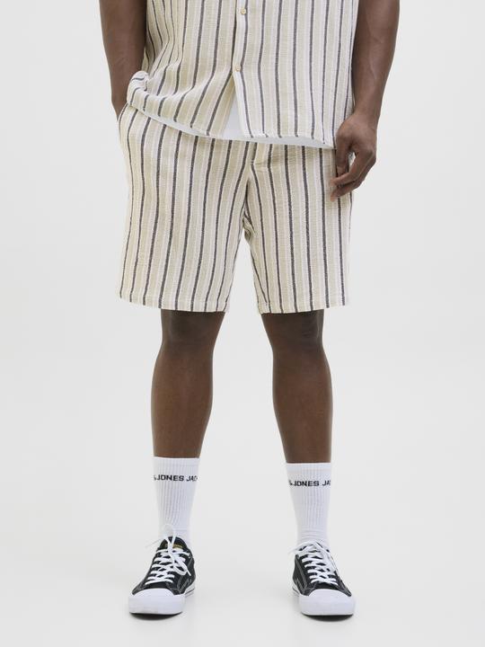 Produktbild Jack & Jones Jpstjaiden Coba Stripe Jog Short Sn Pls (46)