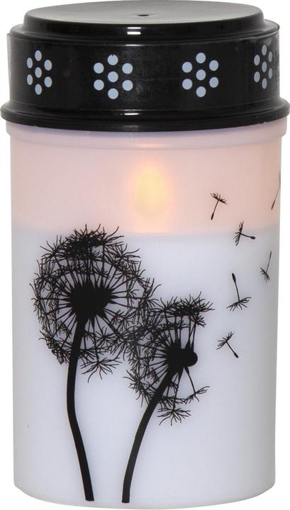Produktbild Star Trading LED Grablicht Dandelion (1 x)