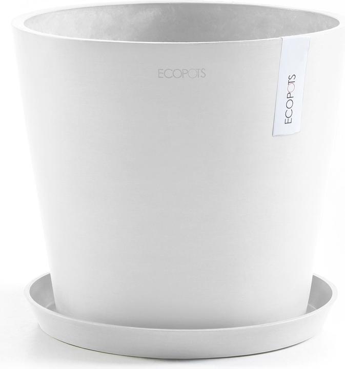 Image du produit Ecopots Saucer Round