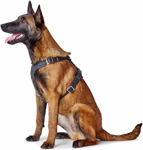 Actual product image Hunter Tableware Aalborg (2, Dog, General)