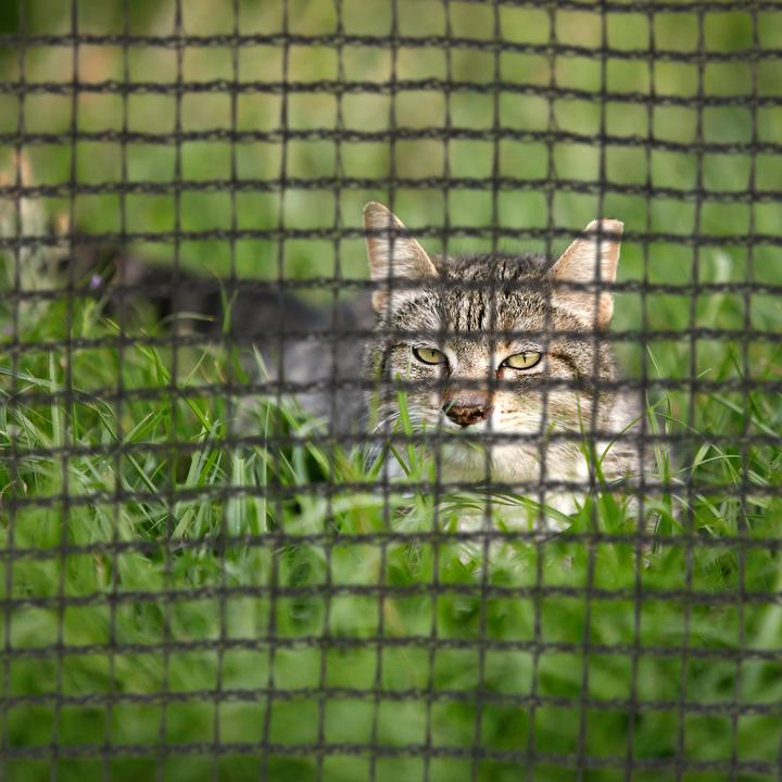 Actual product image Relaxdays Trampoline Frame Net