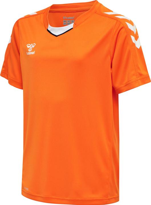 Orange tiger