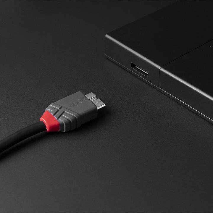 Actual product image Lindy USB 3.2 Type C to Micro-B Cable, Anthra Line (2 m)