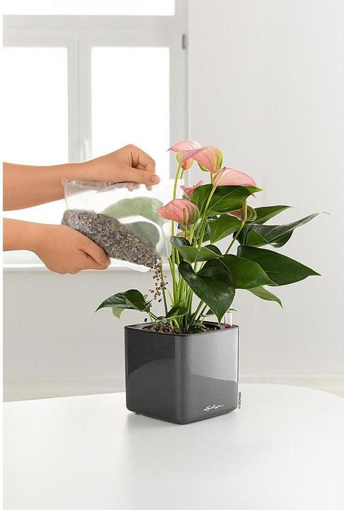 Immagine prodotto Lechuza Cube Glossy 16 (16 cm)