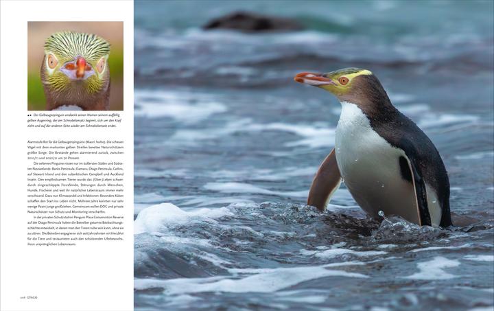 Immagine prodotto National Geographic Neuseeland (Tedesco, Kristof Göttling, Vision 21 Dr Heiko Beyer, Wiebke Reißig-Dwenger, 2024)