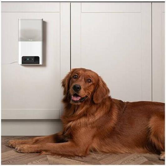 Produktbild Petcube Haustierkamera mit Leckerli Ausgabe (1000 l)