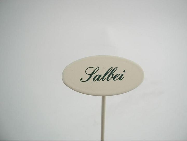 Gewürzstecker Salbei 20 cm (20 cm, 2.40 cm)