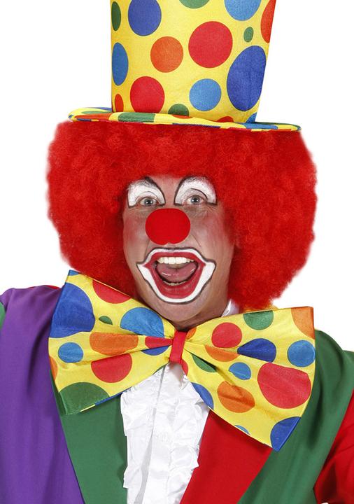 Immagine prodotto Widmann Clown mosca gigante