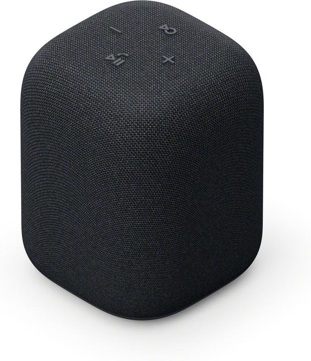 Image du produit Sony SRS-LS1 (25 h, Fonctionnement sur batterie)